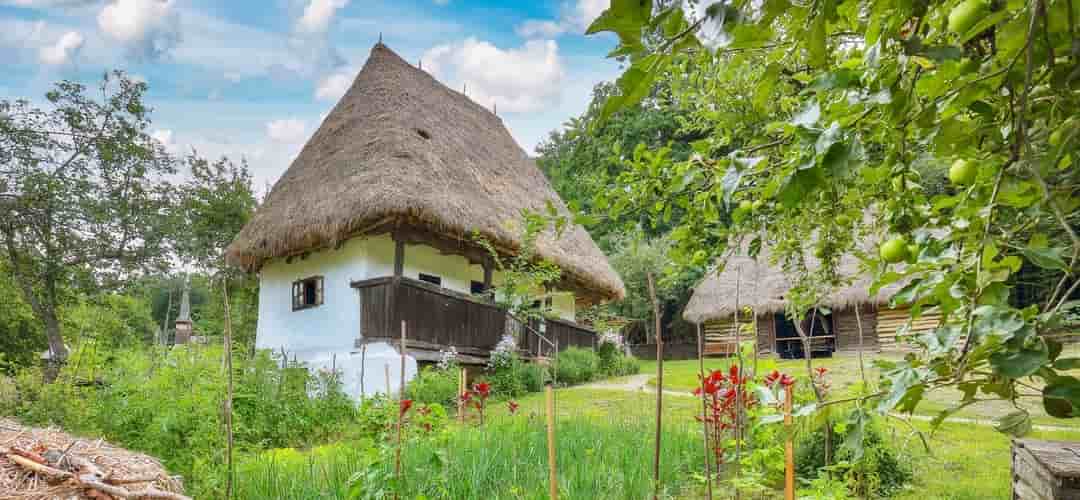 Vista aérea de una finca rústica con cultivos y pastos